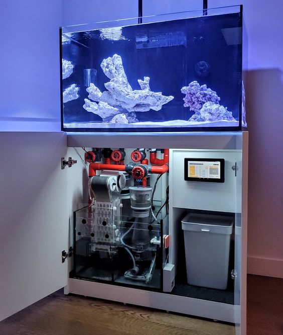 Saltwater aquarium with stand open showing professional aquarium plumbing